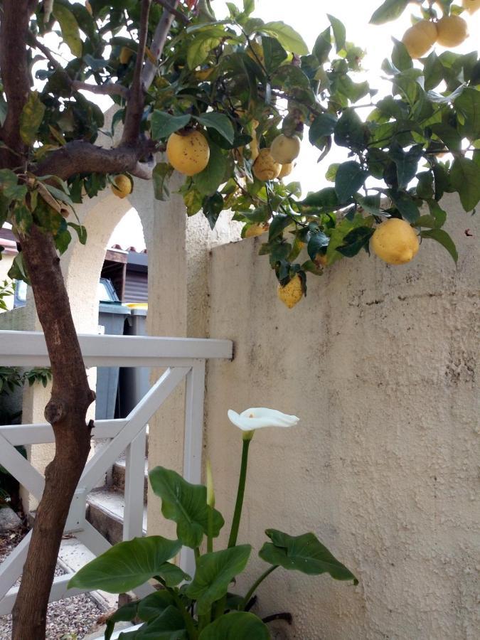 Bed and Breakfast L'Orangeraie Эльн Экстерьер фото
